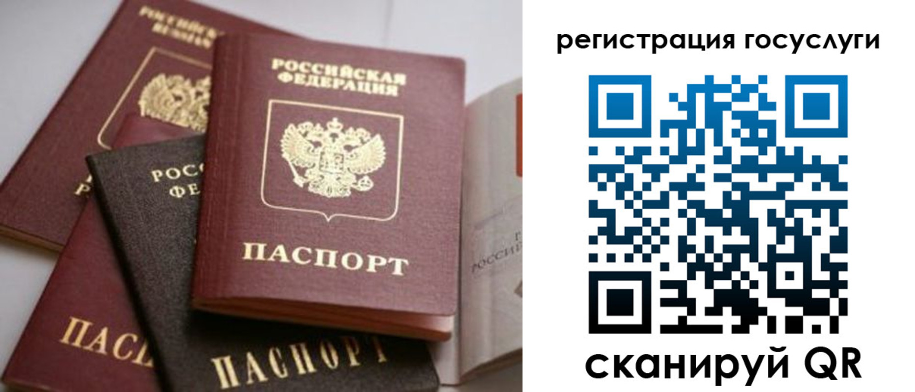 пропишу в квартире в Рыльске